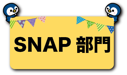 SNAP部門
